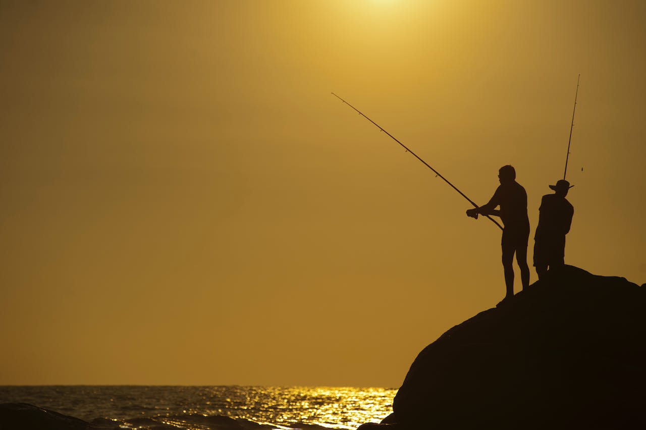 Angeln Sonne Natur Die Vielseitigkeit von Halibut Pellets für Angler