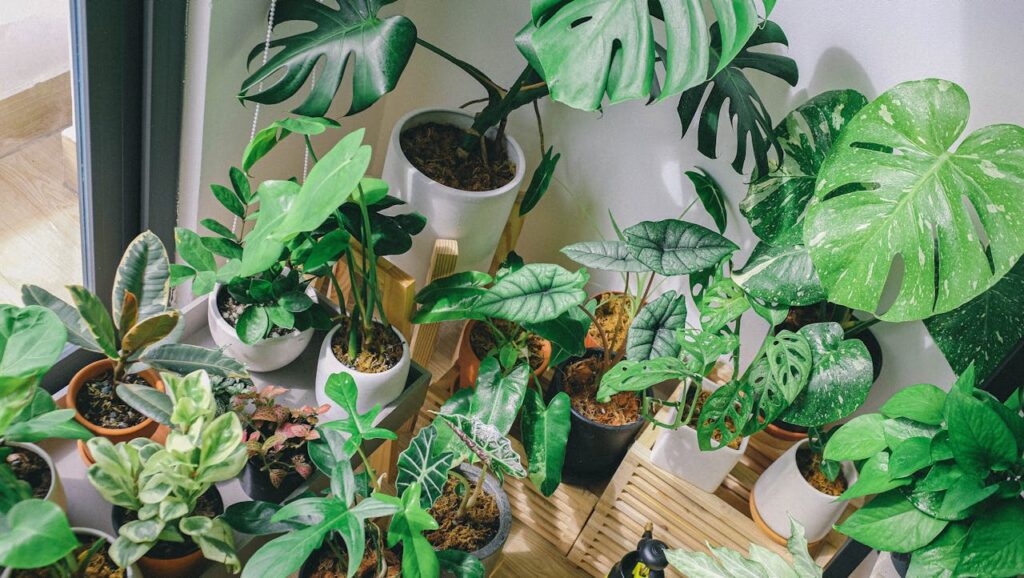 Pflanzen im Gartenhaus Gartenhäuser günstig bekommen – so kann es klappen