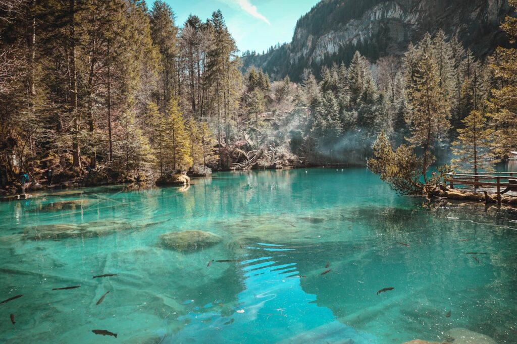 Schweiz kristallklares Wasser Fische sichtbar Fliegenfischen in der Schweiz – Die schönsten Spots